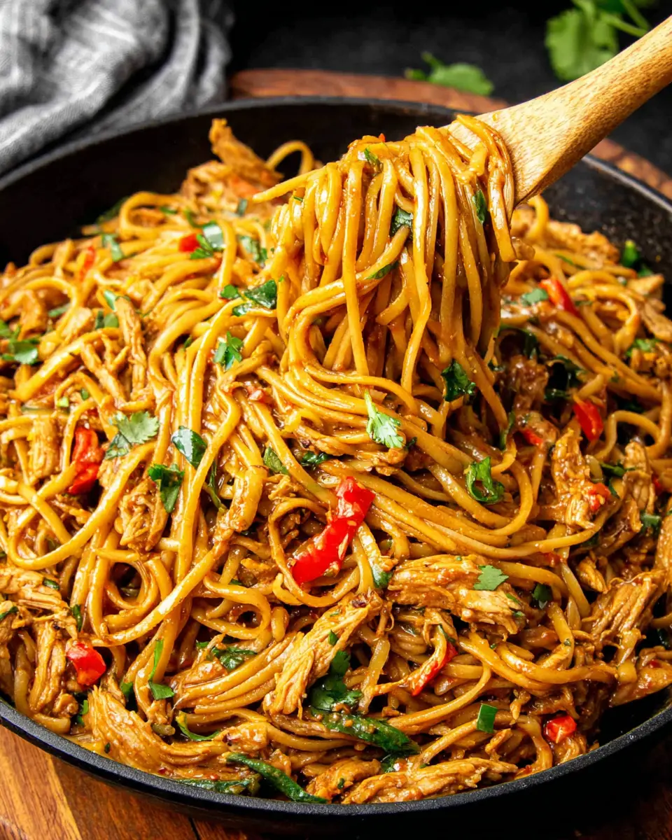 spicy garlic noodle stir fry chicken close up
